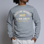 Person wearing a gray sweatshirt with 'Cornerstone University Golden Eagles Grand Rapids' text on a plain background